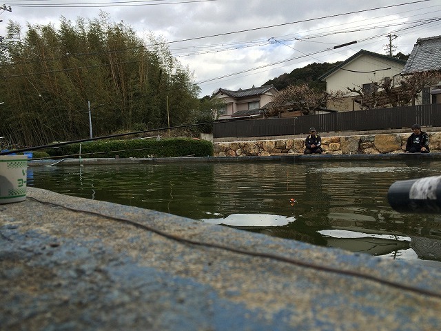 金魚 いやいや錦鯉の大漁釣り 浜松市浜北区 ホームタウン浜松で楽しいことを見つける日々