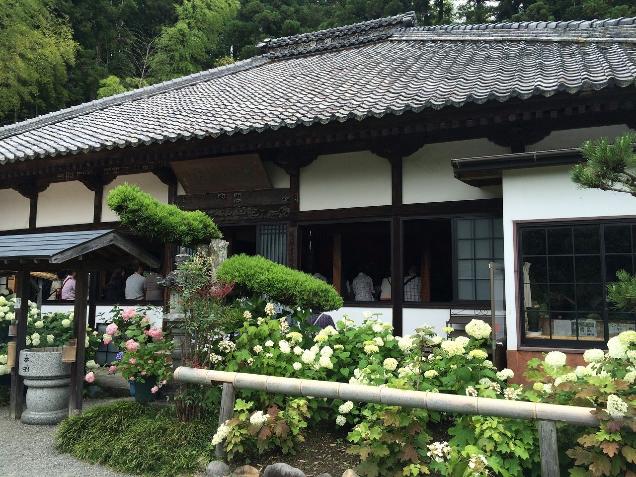 森町 あじさい寺 極楽寺 へ ホームタウン浜松で楽しいことを見つける日々